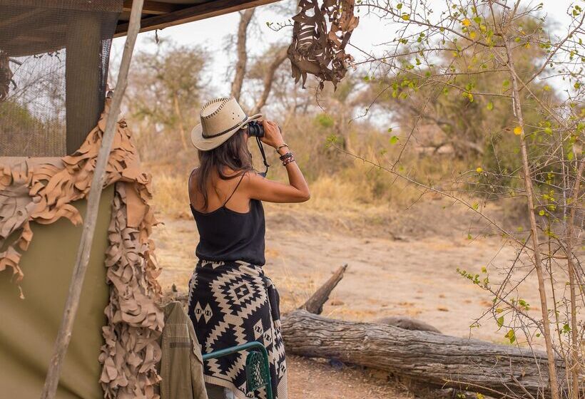 ホテル Baobab Ridge Private Lodge