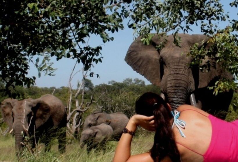 酒店 Baobab Ridge Private Lodge