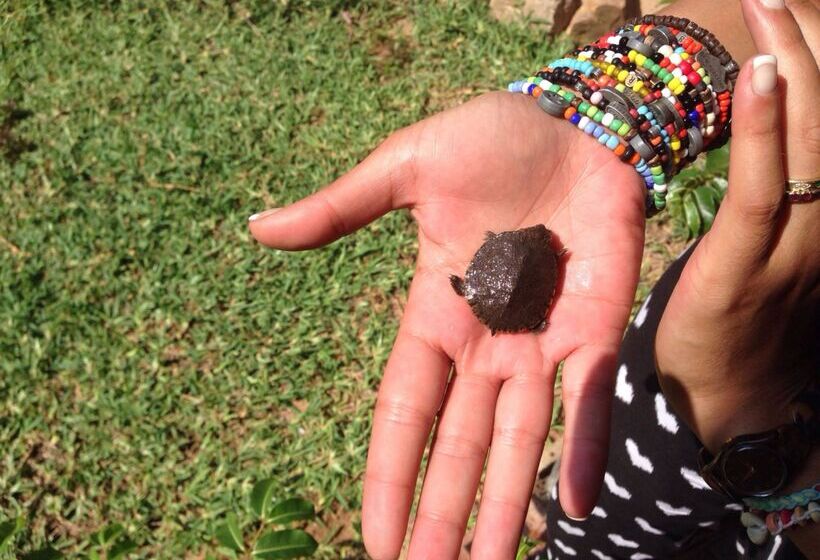 酒店 Baobab Ridge Private Lodge