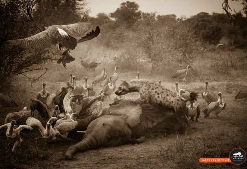 酒店 Baobab Ridge Private Lodge