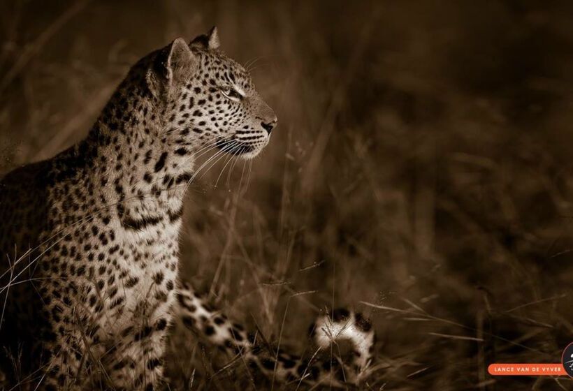 酒店 Baobab Ridge Private Lodge