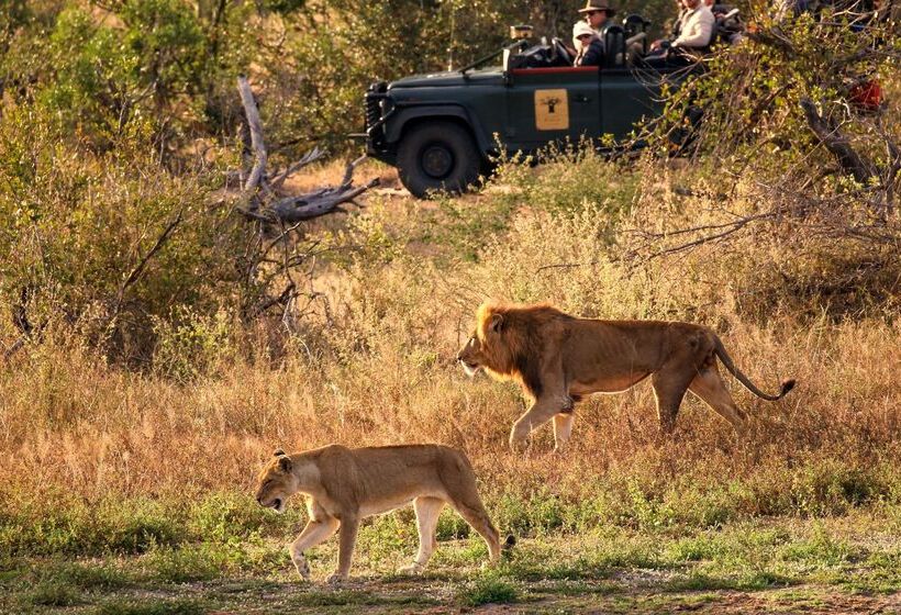 酒店 Baobab Ridge Private Lodge