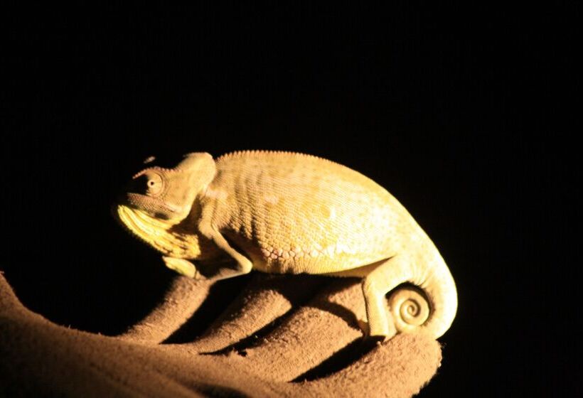 酒店 Baobab Ridge Private Lodge