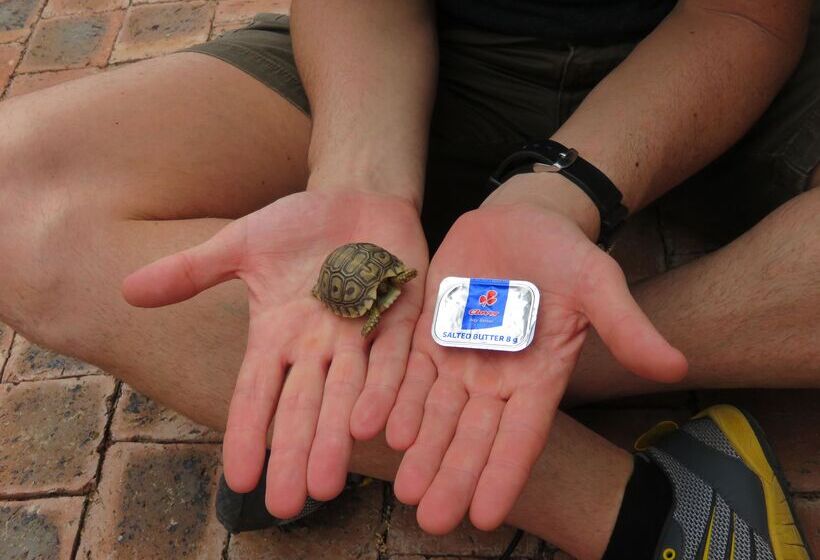 ホテル Baobab Ridge Private Lodge