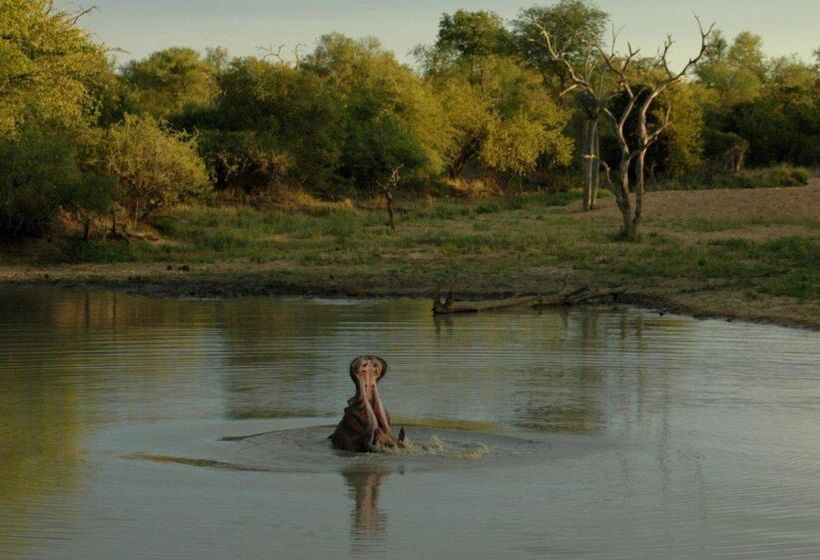酒店 Baobab Ridge Private Lodge