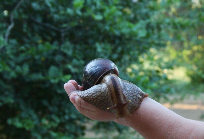 酒店 Baobab Ridge Private Lodge