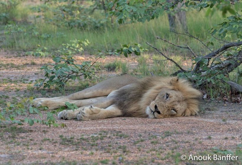酒店 Baobab Ridge Private Lodge
