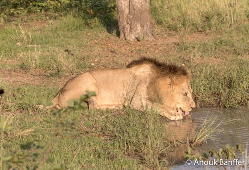 酒店 Baobab Ridge Private Lodge