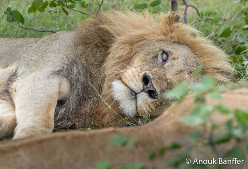酒店 Baobab Ridge Private Lodge