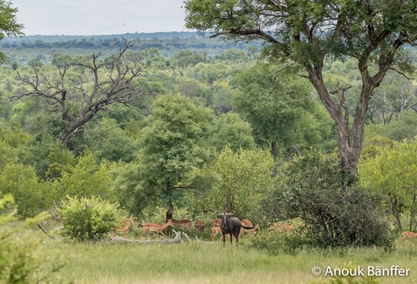 ホテル Baobab Ridge Private Lodge