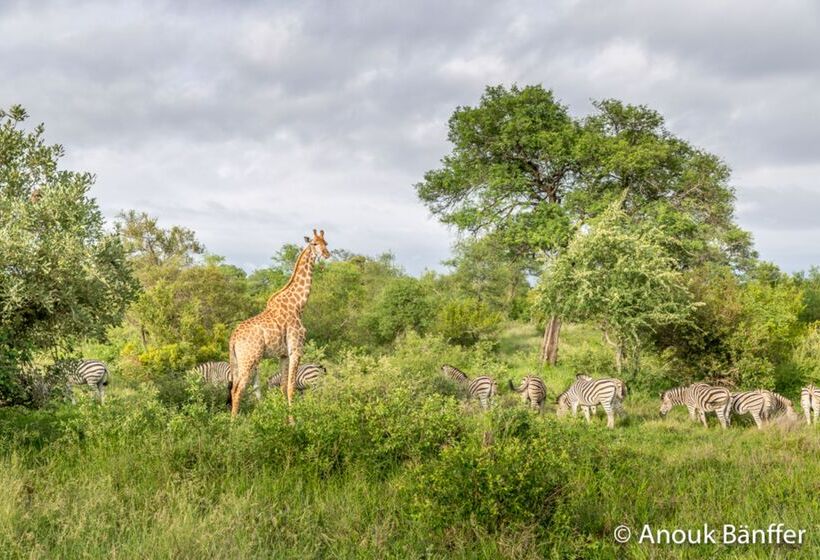 酒店 Baobab Ridge Private Lodge