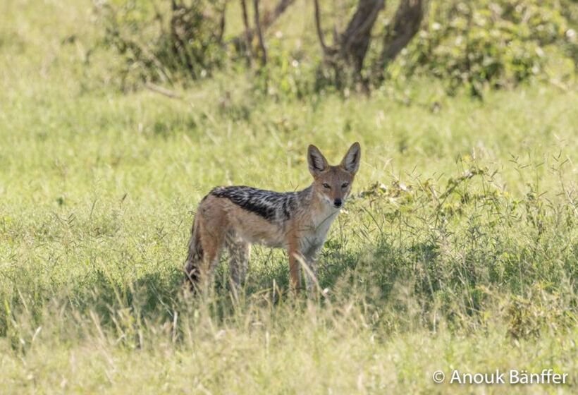 酒店 Baobab Ridge Private Lodge