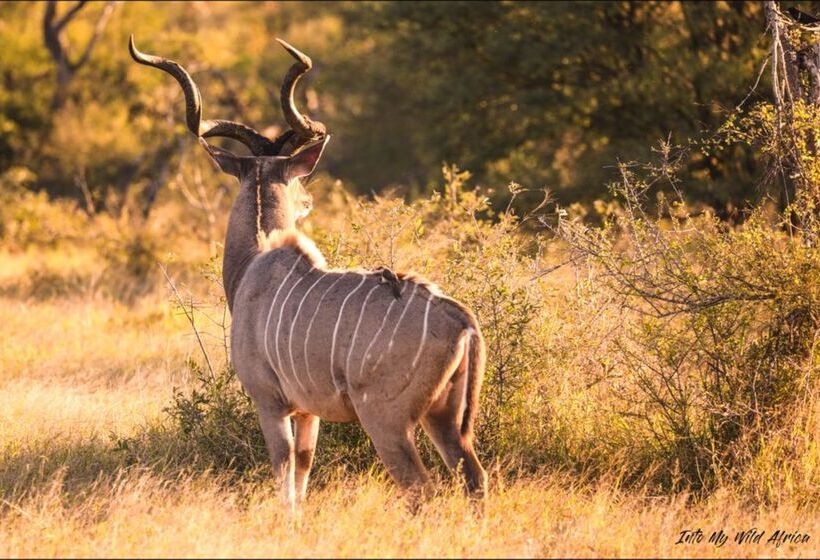酒店 Baobab Ridge Private Lodge