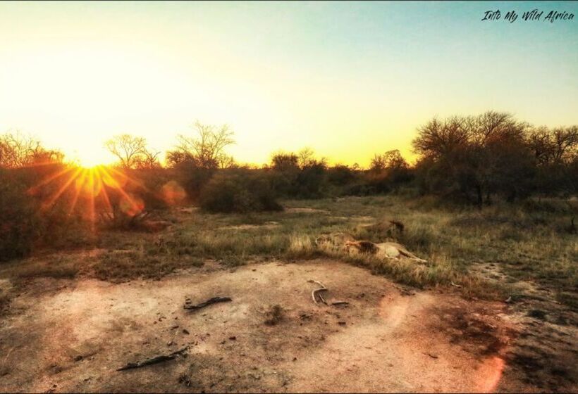 酒店 Baobab Ridge Private Lodge