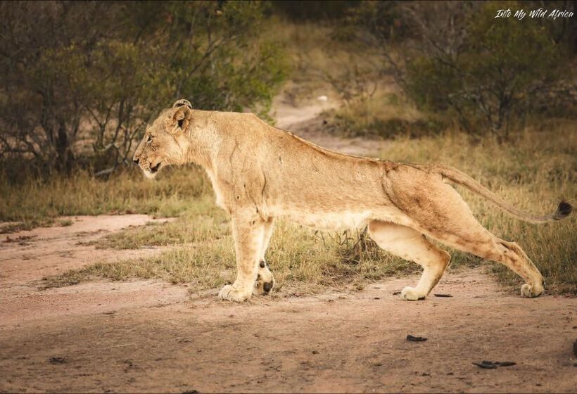 酒店 Baobab Ridge Private Lodge