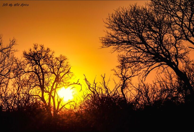 ホテル Baobab Ridge Private Lodge