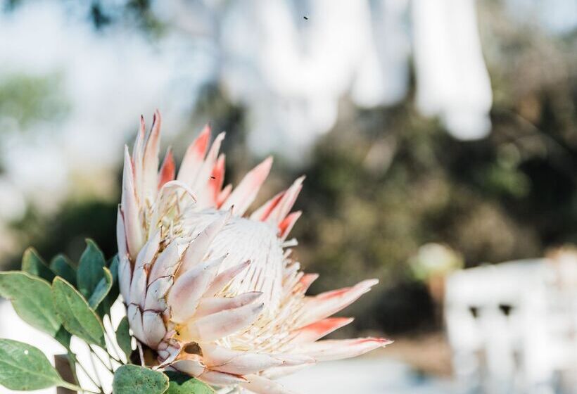 酒店 Baobab Ridge Private Lodge