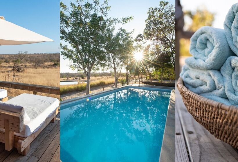 酒店 Baobab Ridge Private Lodge