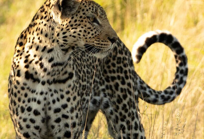 ホテル Baobab Ridge Private Lodge