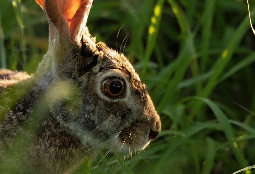 酒店 Baobab Ridge Private Lodge