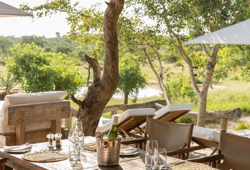 酒店 Baobab Ridge Private Lodge