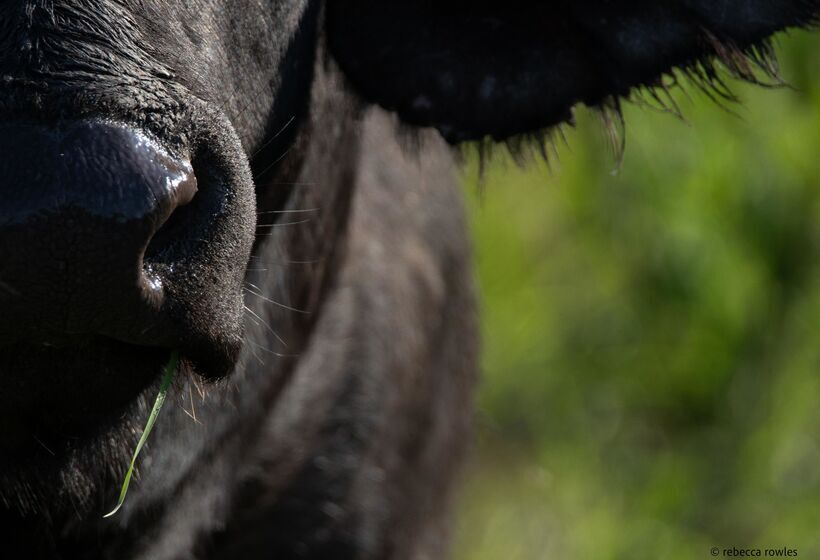 酒店 Baobab Ridge Private Lodge