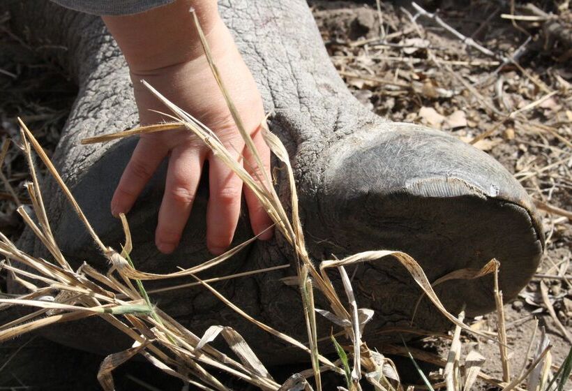 酒店 Baobab Ridge Private Lodge