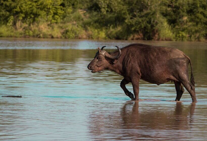 酒店 Baobab Ridge Private Lodge