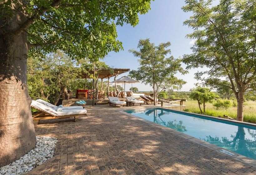 酒店 Baobab Ridge Private Lodge