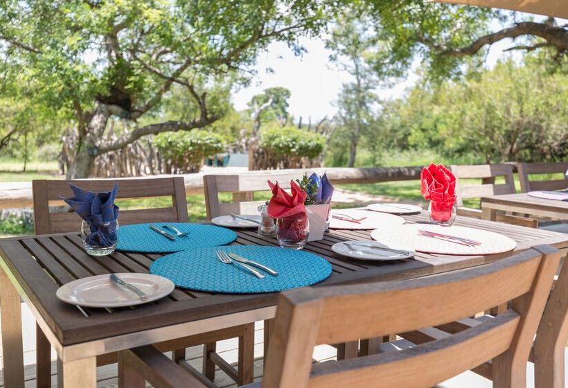 酒店 Baobab Ridge Private Lodge