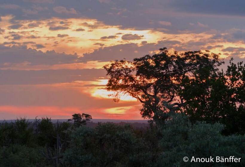 酒店 Baobab Ridge Private Lodge