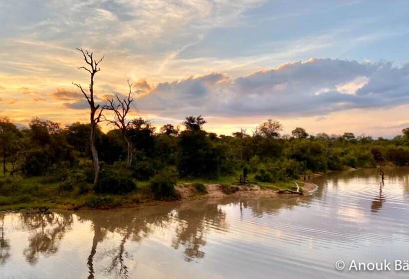 ホテル Baobab Ridge Private Lodge