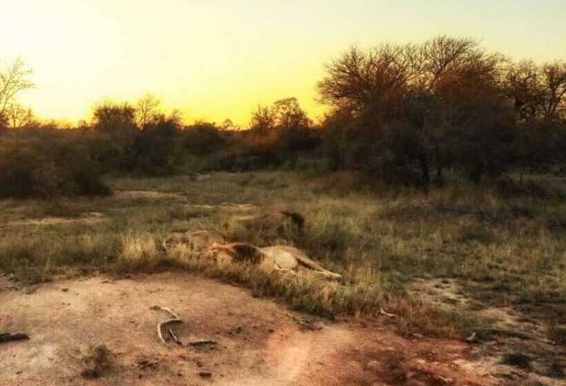 酒店 Baobab Ridge Private Lodge