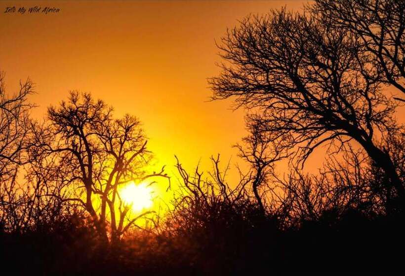 ホテル Baobab Ridge Private Lodge