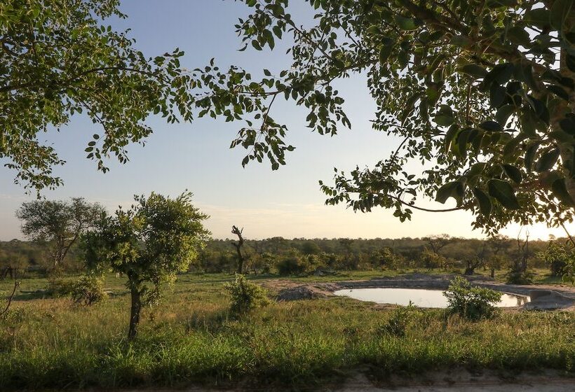 酒店 Baobab Ridge Private Lodge