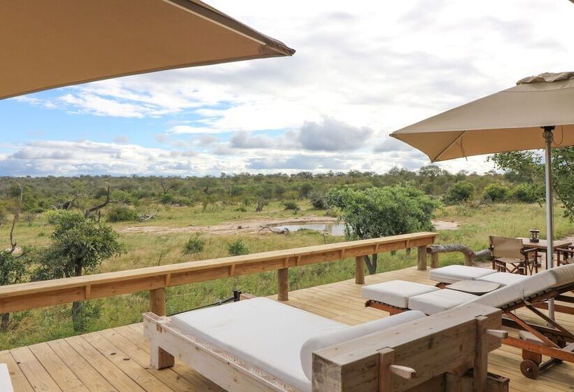 酒店 Baobab Ridge Private Lodge