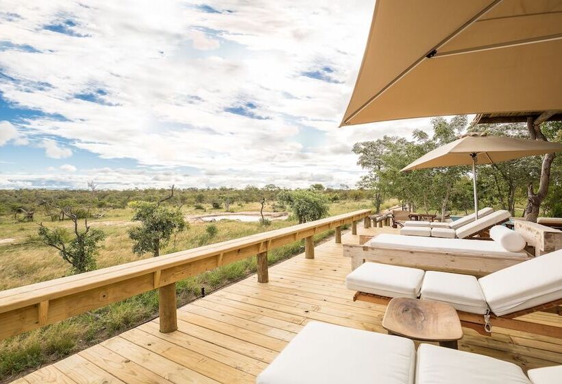 酒店 Baobab Ridge Private Lodge