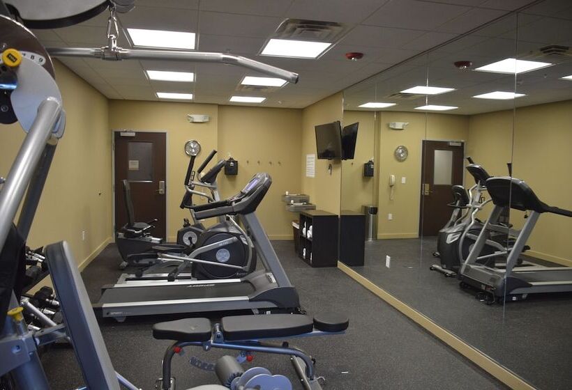 فندق Best Western Plus Elmendorf