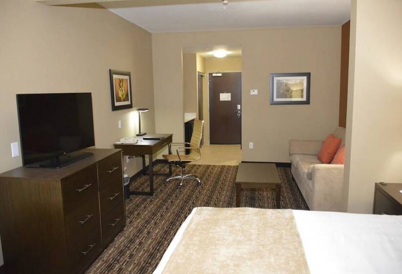 فندق Best Western Plus Elmendorf