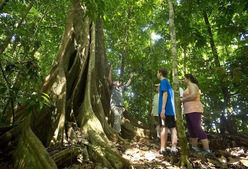 هتل Bosque Del Cabo Rain Forest Lodge