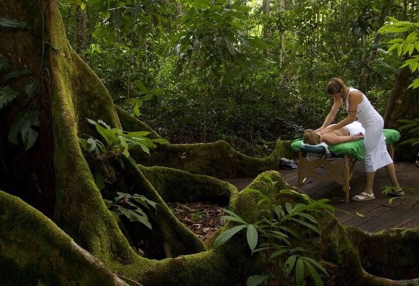 هتل Bosque Del Cabo Rain Forest Lodge