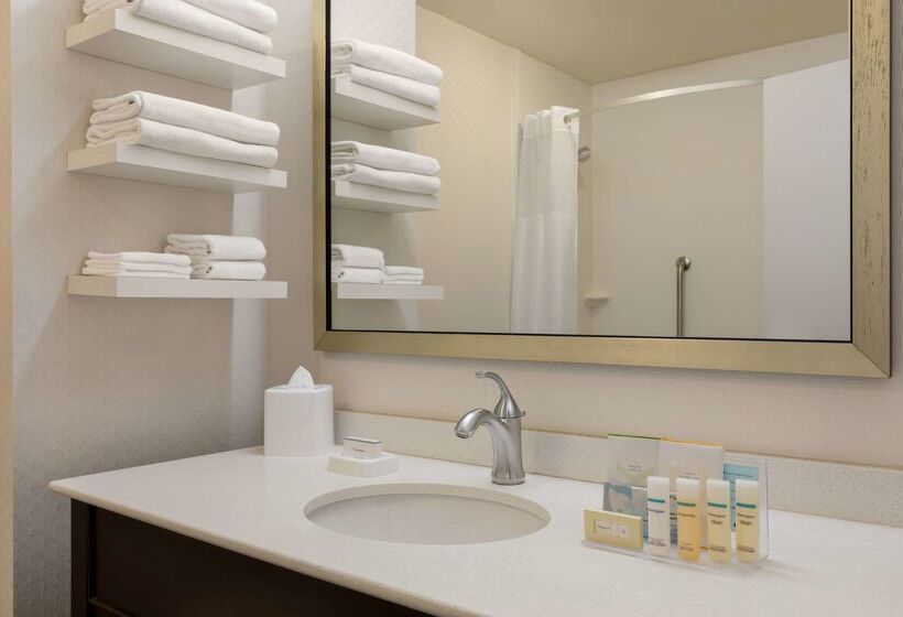 فندق Hampton Inn & Suites Roanokedowntown