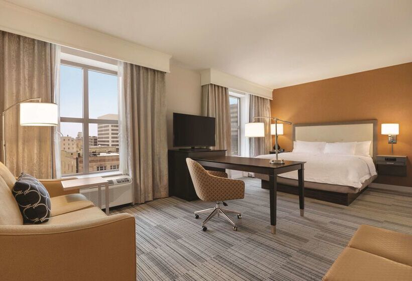فندق Hampton Inn & Suites Roanokedowntown