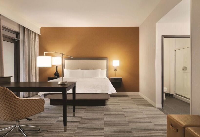 فندق Hampton Inn & Suites Roanokedowntown