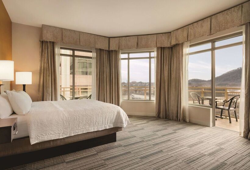فندق Hampton Inn & Suites Roanokedowntown