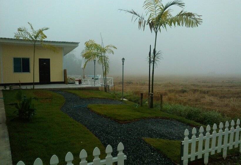هتل Him Doi House