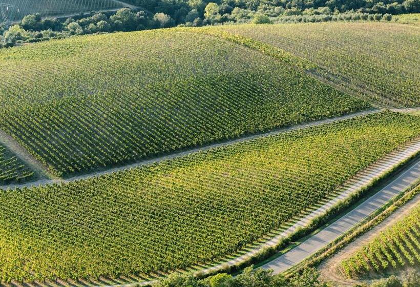 호텔 Le Scuole B&b   By Collemassari Hospitality