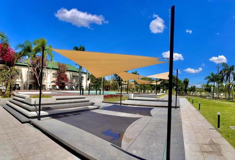 בית מלון כפרי Luisita Central Park