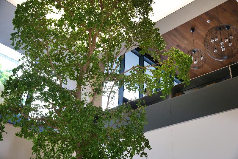 هتل Lux Lisboa Park