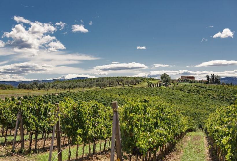 בית מלון כפרי Pecora Vecchia   Collemassari Hospitality